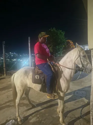 Égua macha batida mansa(esperta)
