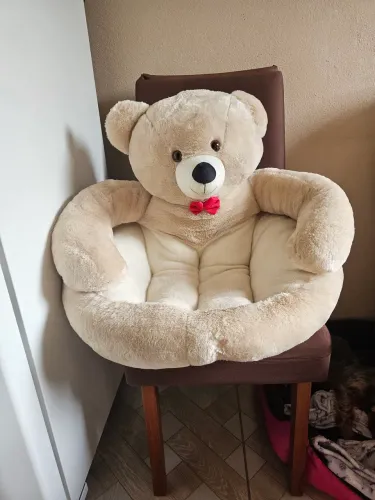 Sofa pet