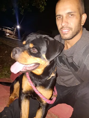 Vende se