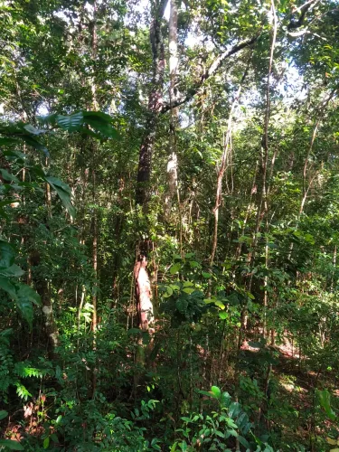 VENDE-SE TERRENO NA ILHA DE SANTANA/AP