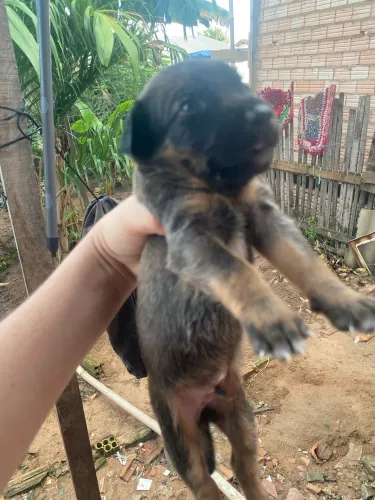 Doação Responsável 