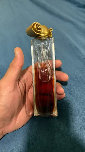 Organza Givenchy