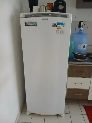 Geladeira ótima frosfree .Parte de cima caso pintura e alguns retoques pequenos para fazer