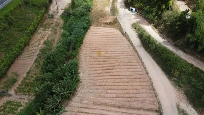 Terreno para Venda em Sapucaia, Pião