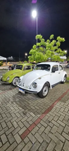 Volkswagen Fusca Fusca (gasolina) 1996
