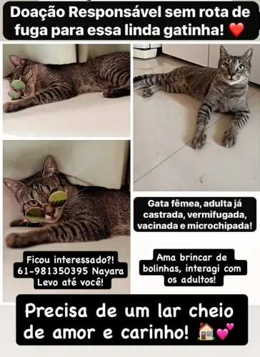 Doação 