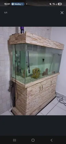 Aquário 