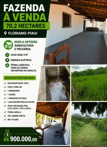 VENDO FAZENDA DUPLA APTIDÃO QUASE DE GRAÇA