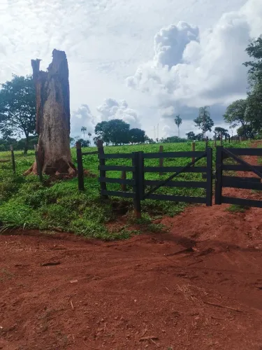 Goianira Fazenda e chácara sitios 