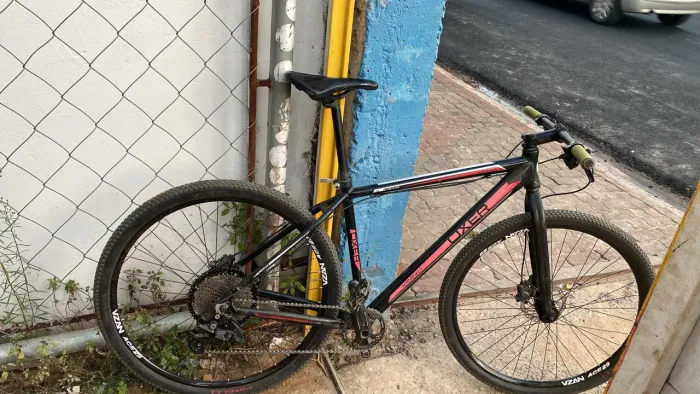Bike 29