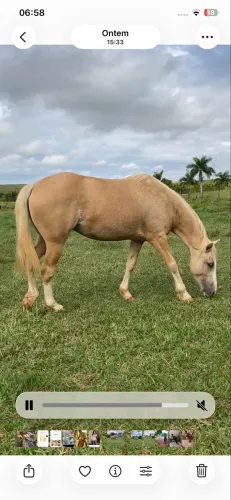 Égua