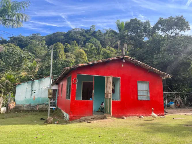 Vende-se Roça com 4 Hectares a 6 km de Itagi 