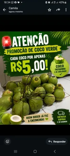 Coco verde