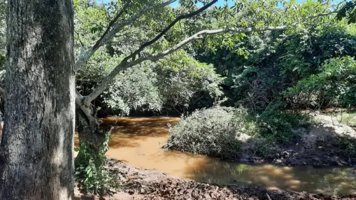1 Alqueire de Terra à Venda em São Francisco de Goiás