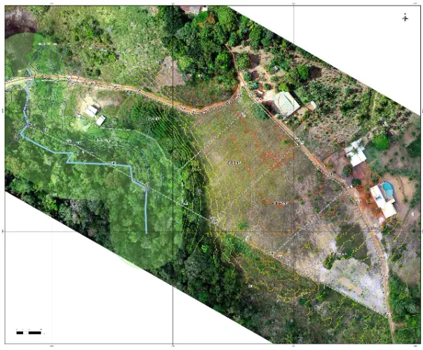 Terreno Itacaré/BA (5.000m2)