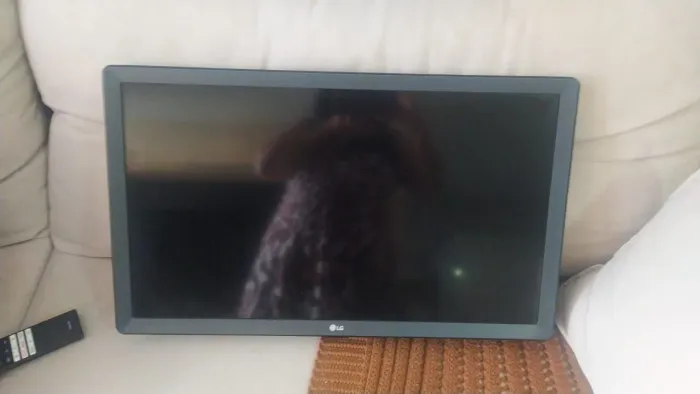 Vendo TV Lg