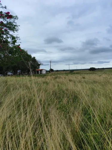 Fazenda com 95 hectares com 4 quartos 8 baías cural casa de caseiro 2 poço tubulares etc