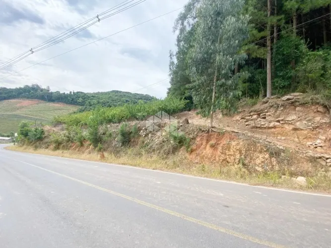 Lote de terras com 4,6 hectares, localizado na Linha Jacinto em Farroupilha