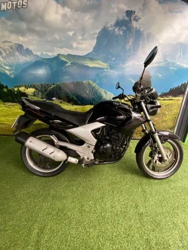 YS 250 FAZER/ FAZER L. EDITION /BLUEFLEX
