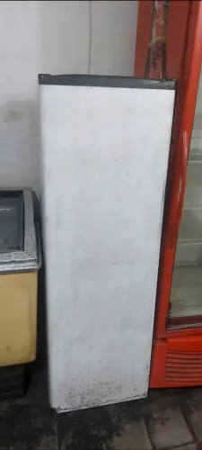 Freezer Vertical por R$400,00