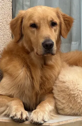 GOLDEN