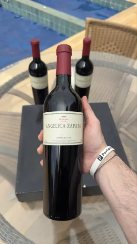 Vinho Angeliza Zapata Malbec Alta 2021