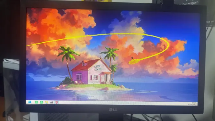 Monitor lg 19.5 hdmi