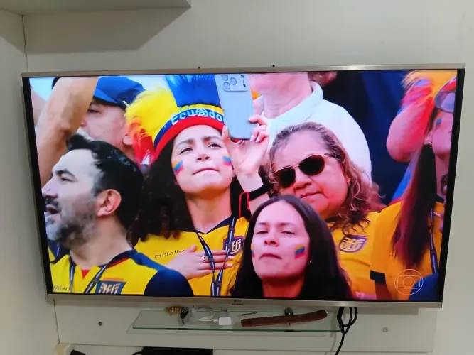 TV LG 49 polegadas com defeito