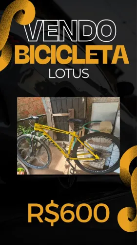 Bicicleta Lotus Aro 29