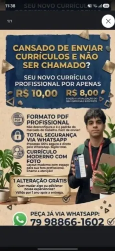 CURRÍCULO PDF