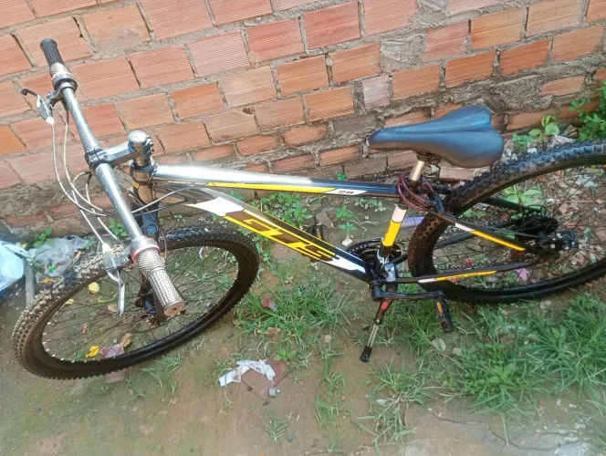 Bicicleta