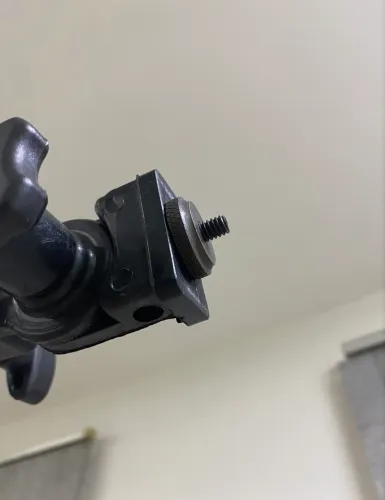 Foto e vídeo - girafa 