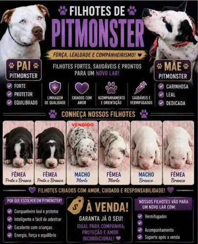 Vendo Pit Monster.