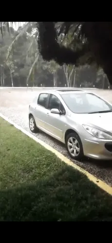 Peugeot 307 Soleil/ Presence 1.6/1.6 Flex 16V 5P 2010