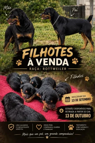 Filhote de rottweiler