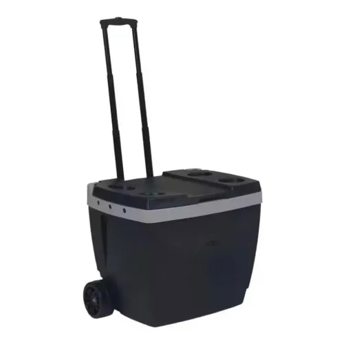 Cooler térmico 