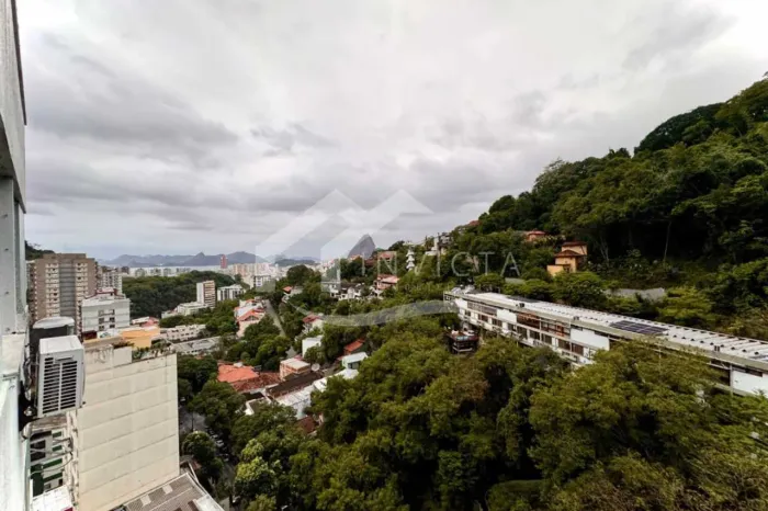 Apartamento : Padrão / Residencial / Laranjeiras