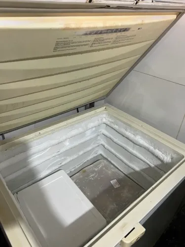 Freezer horizontal