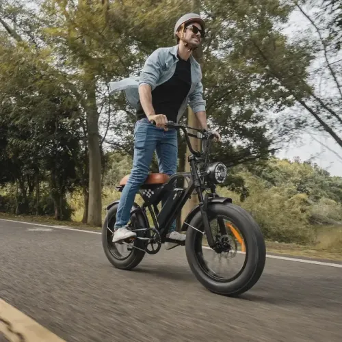 Bicicleta Elétrica Xroymexroy Eb5 750W