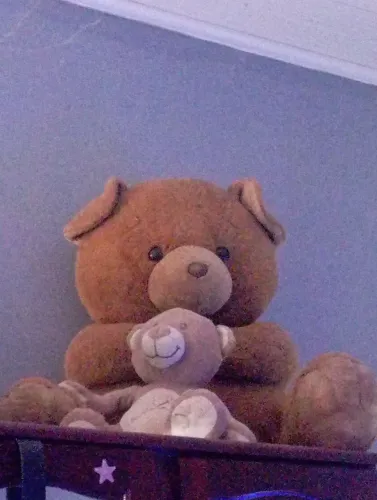 Urso de 80 cm