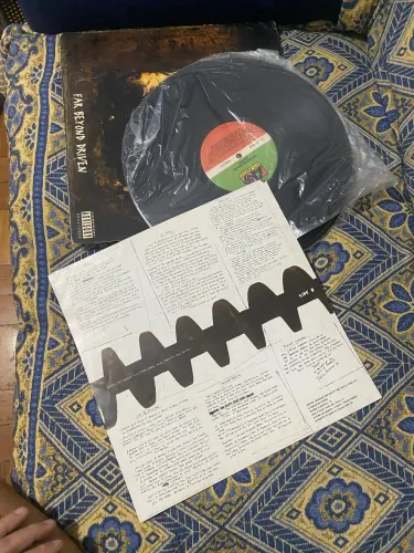 Disco de vinil Pantera Far Beyond Driven e Lp Lobão e os Eremitas da Montanha