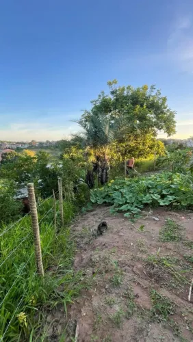 Terreno na Pitanguinha Próximo a via principal 
