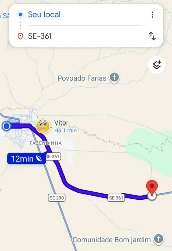 Alugo comida para colocar gado