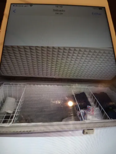 FREEZER HORIZONTAL VENDER URGENTE!!!