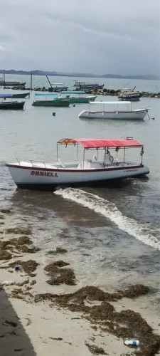 Barco de Fibra 