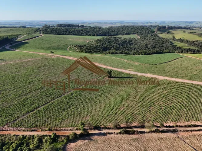 Sitio com 36 alqueires plantado cana na região de Conchas-SP