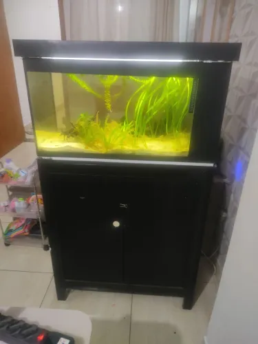 Aquário 128 litros