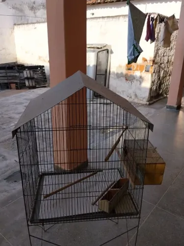Gaiola para calopsita