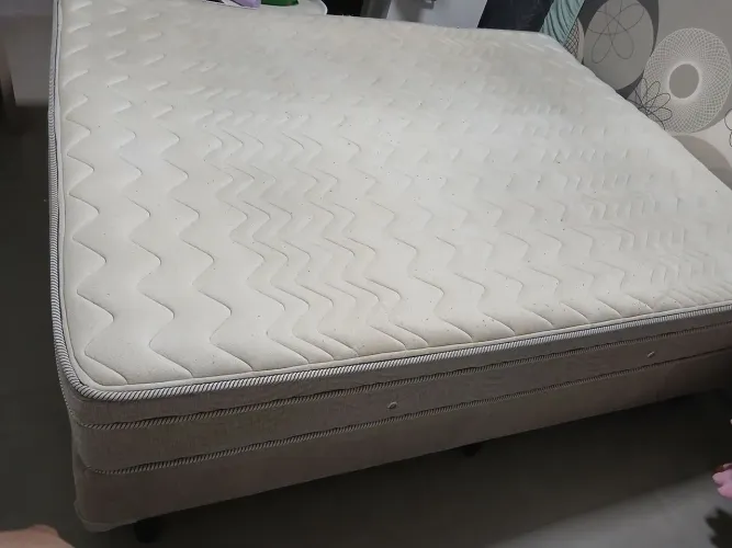 Cama Queen 