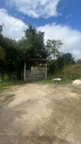 Sítio 